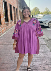 Embroidered Woven Wide Sleeve Dress