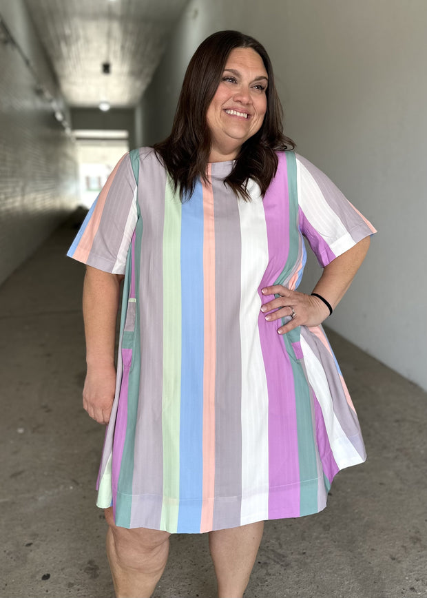 Pastel Pop Swing Dress/Plus